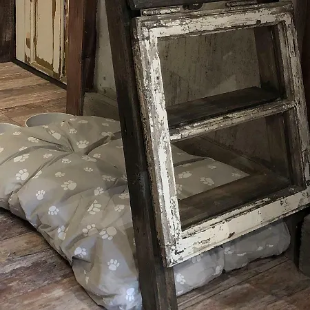 Vintage In Old Town Kecskemet