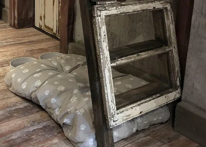 Vintage In Old Town Kecskemét