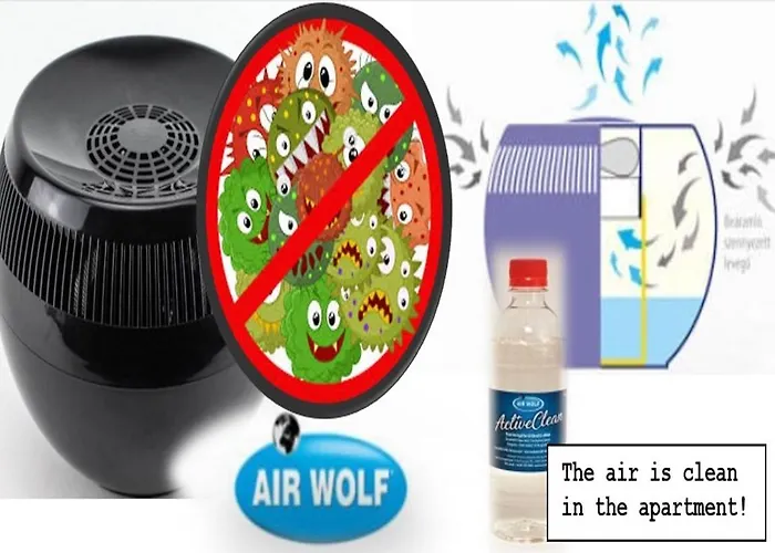 Vintage In Old Town Kecskemét